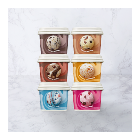 배스킨라빈스 블록팩 (170ml) 6개 SET