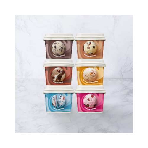 배스킨라빈스 블록팩 (170ml) 6개 SET