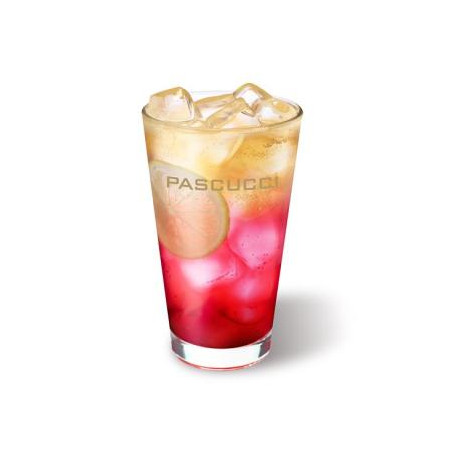 파스쿠찌 애플히비스커스 콤부차(L)